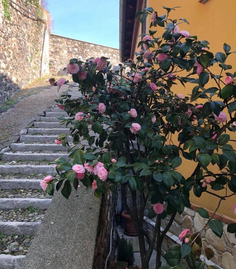 Trissino B&B Alle Scalette מראה חיצוני תמונה