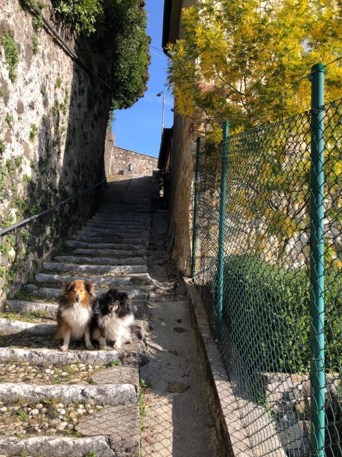 Trissino B&B Alle Scalette מראה חיצוני תמונה